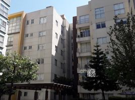 3 Schlafzimmer Wohnung zu verkaufen in Benito Juarez, Mexico City, Benito Juarez