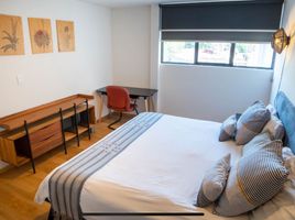1 Habitación Apartamento en alquiler en Miguel Hidalgo, Ciudad de México, Miguel Hidalgo, Ciudad de México, México