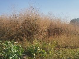  Terreno (Parcela) en venta en Irapuato, Guanajuato, Irapuato