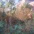 Terreno (Parcela) en venta en Irapuato, Guanajuato, Irapuato