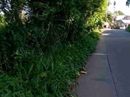 Terreno (Parcela) en venta en Calamba City, Calabarzon, Calamba City, Laguna, Calabarzon, Filipinas