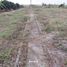  Land for sale in San Vicente, Manabi, San Vicente, San Vicente