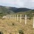  Land for sale in Dagua, Valle Del Cauca, Dagua