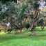  Terreno (Parcela) en venta en Dasmarinas City, Calabarzon, Dasmarinas City, Cavite, Calabarzon, Filipinas
