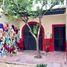1 Bedroom House for rent in Merida, Yucatan, Merida, Yucatan