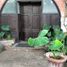 1 Bedroom Condo for rent in San Pedro Cholula, Puebla, San Pedro Cholula, Puebla