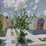2 Schlafzimmer Villa zu verkaufen in Irapuato, Guanajuato, Irapuato