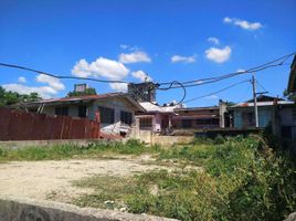  Land for sale in Yap-Sandiego Ancestral House, Cebu City, Cebu City