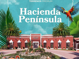  Grundstück zu verkaufen in Progreso, Yucatan, Progreso