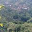  Terrain for sale in Tanay, Rizal, Tanay