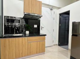 1 Phòng ngủ Chung cư for rent in Khuê Mỹ, Ngũ Hành Sơn, Khuê Mỹ