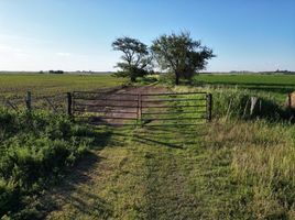  Terreno (Parcela) en venta en Constitucion, Santa Fe, Constitucion