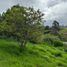  Land for sale in Popayan, Cauca, Popayan