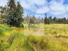  Terreno (Parcela) en venta en Chile, Chillan, Diguillín, Ñuble, Chile