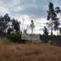  Terreno (Parcela) en venta en Chile, Chillan, Diguillín, Ñuble, Chile