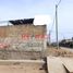  Grundstück zu verkaufen in Puente Piedra, Lima, Puente Piedra, Lima, Lima