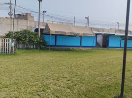  Grundstück zu verkaufen in Puente Piedra, Lima, Puente Piedra, Lima, Lima