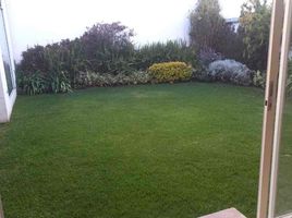 3 Bedroom House for rent in Bicentenario Park, Quito, Quito, Quito