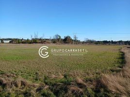  Land for sale in Chile, Osorno, Osorno, Los Lagos, Chile