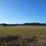 Land for sale in Chile, Osorno, Osorno, Los Lagos, Chile