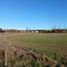  Land for sale in Chile, Osorno, Osorno, Los Lagos, Chile
