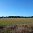  Land for sale in Chile, Osorno, Osorno, Los Lagos, Chile