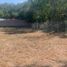  Terreno (Parcela) en venta en Dist Pochutla, Oaxaca, Dist Pochutla