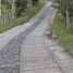  Terreno (Parcela) en venta en Barbosa, Antioquia, Barbosa, Antioquia, Colombia