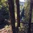  Land for sale in Chile, Pucon, Cautin, Araucania, Chile