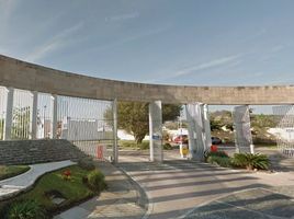 3 Schlafzimmer Wohnung zu verkaufen in Zapopan, Jalisco, Zapopan