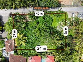  Terrain for sale in Ubud, Gianyar, Ubud