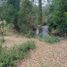  Terreno (Parcela) en venta en Araucanía, Villarrica, Cautín, Araucanía