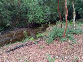 Terreno (Parcela) en venta en Araucanía, Villarrica, Cautín, Araucanía