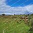 Land for sale in Los Lagos, Dalcahue, Chiloe, Los Lagos