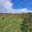  Land for sale in Los Lagos, Dalcahue, Chiloe, Los Lagos