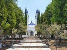  Land for sale in San Francisco Del Rincon, Guanajuato, San Francisco Del Rincon