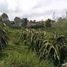  Land for sale in Bojong, Purwakarta, Bojong