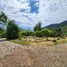  Land for sale in Chile, Mostazal, Cachapoal, Libertador General Bernardo Ohiggins, Chile