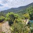  Land for sale in Chile, Mostazal, Cachapoal, Libertador General Bernardo Ohiggins, Chile