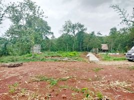  Land for sale in Bogor, West Jawa, Jasinga, Bogor