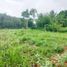  Land for sale in Bogor, West Jawa, Jasinga, Bogor