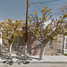 3 Bedroom House for sale in Juarez, Chihuahua, Juarez