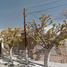 3 Bedroom House for sale in Juarez, Chihuahua, Juarez