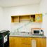 1 Bedroom Apartment for rent in My An, Da Nang, My An