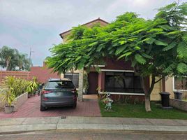 4 Habitación Casa en venta en Samborondón, Guayas, Samborondon, Samborondón