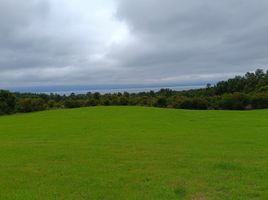  Land for sale in Chile, Villarrica, Cautin, Araucania, Chile