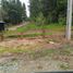  Land for sale in Chile, Villarrica, Cautin, Araucania, Chile