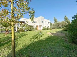  Terreno (Parcela) en venta en Chile, San Felipe, San Felipe de Aconcagua, Valparaíso, Chile