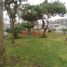 Maison 4 chambre à vendre à San Juan De Lurigancho, Lima, San Juan De Lurigancho, Lima, Lima, Pérou