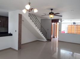 4 Habitación Casa en venta en Piura, Castilla, Piura, Piura